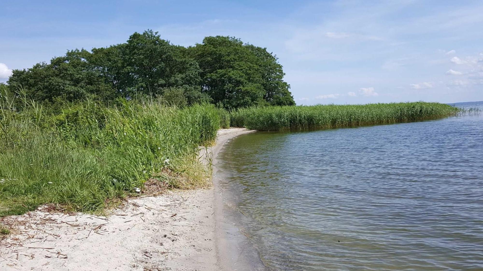 Appartement Schilfperle - Oase Am Haff Garz  Exteriör bild