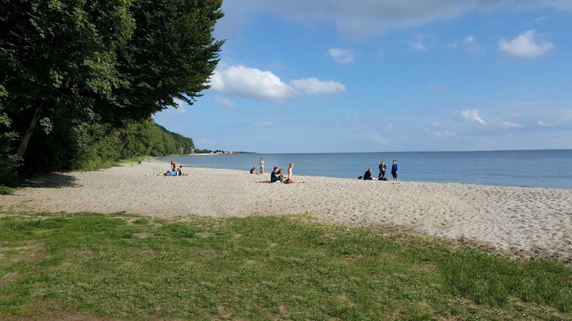 Appartement Schilfperle - Oase Am Haff Garz  Exteriör bild